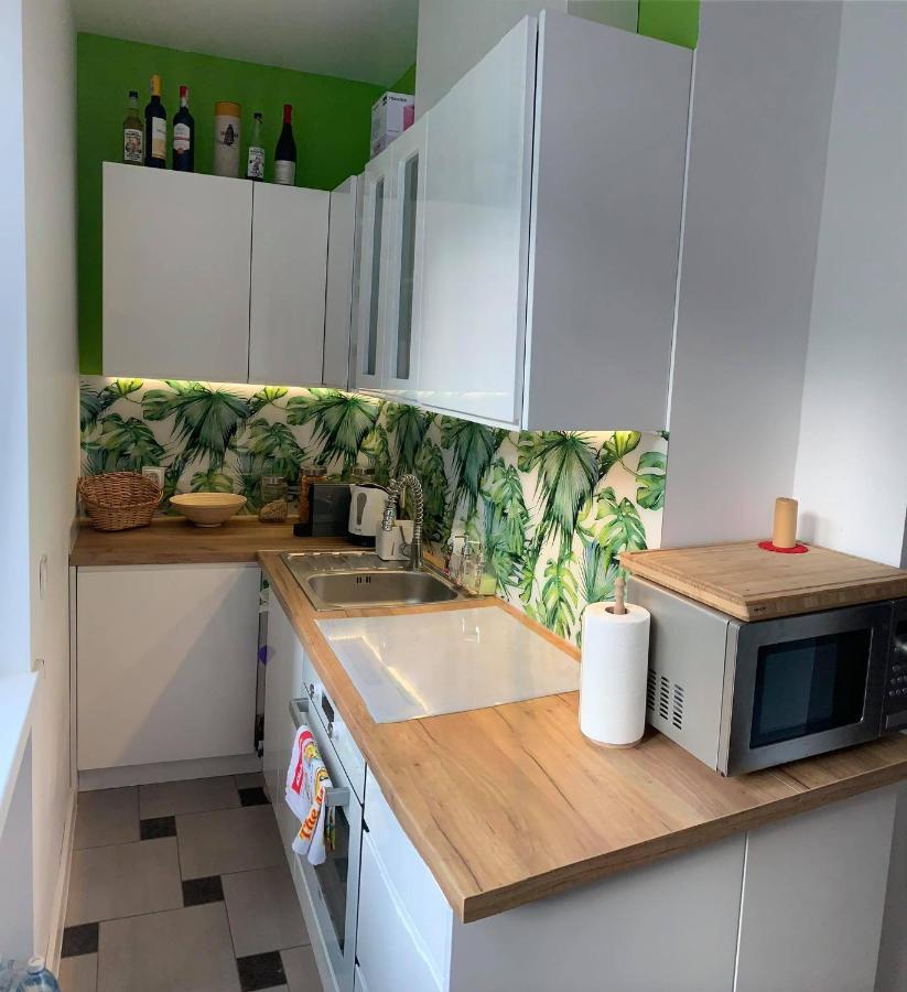 Nad Kryniczanka Apartmán Krynica Zdroj